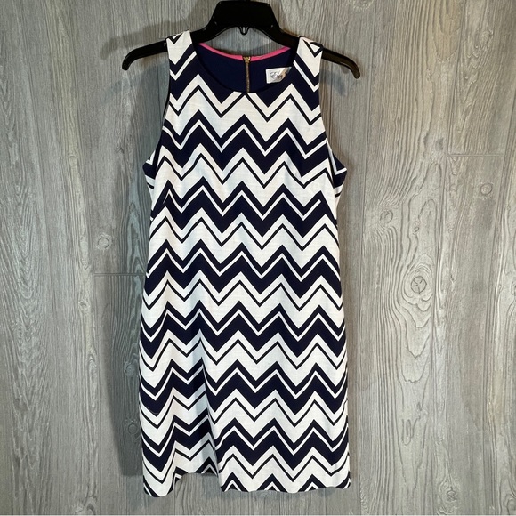 Eliza J Blue Chevron Printed Sheath White Exposed Zip Cocktail Dress Size 4 - Picture 1 of 6
